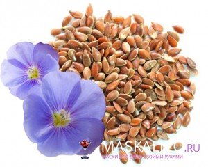 Масличный лен семена Масличный лен семена