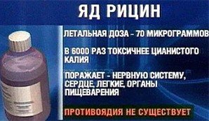 Рицин получение в домашних условиях Рицин получение в домашних условиях