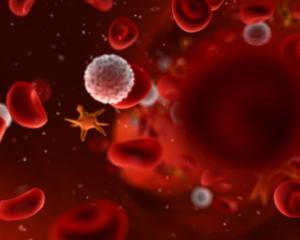 Пониженные лейкоциты в крови - причины и лечение