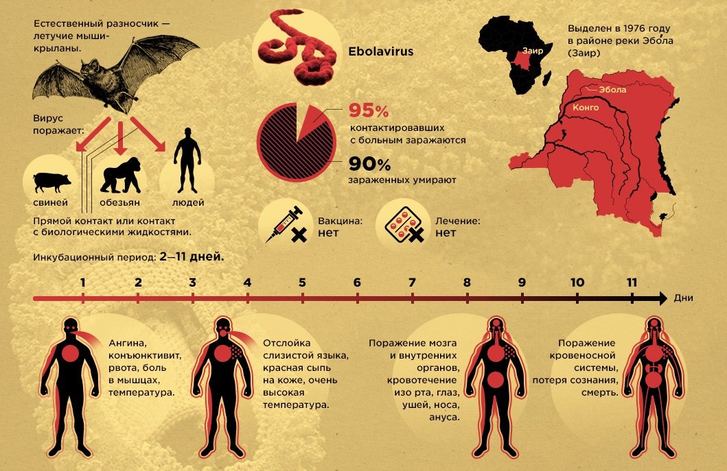Симптомы лихорадки Эбола