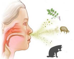 Аллергический ринит - симптомы и лечение у взрослых