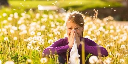 Аллергия на цветение - симптомы и лечение