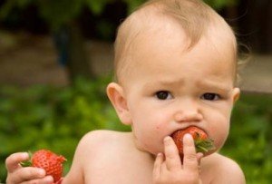Ребенок кушает клубнику