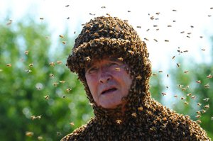 защита от пчёл