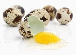 отравление перепелиными яйцами что делать