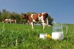 молоко при отравлении можно ли
