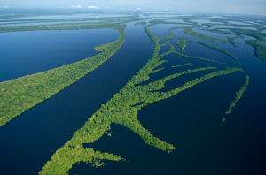 великая река Амазонка
