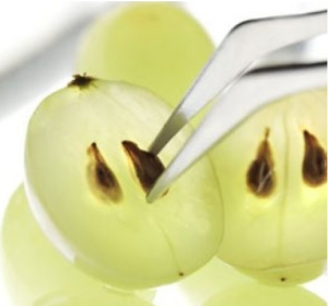 Масло виноградных косточек содержит комплекс жирных кислот