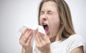 аллергия на хомяков