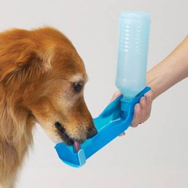 питье у собак