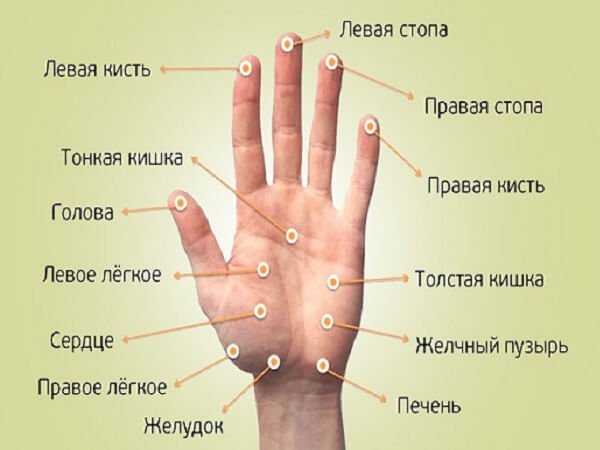 Активные точки на ладони и пальцах - фото